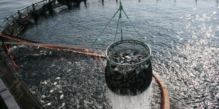 Produce y Banco Mundial invierten en Perú S/ 113 millones en Pesca y Acuicultura