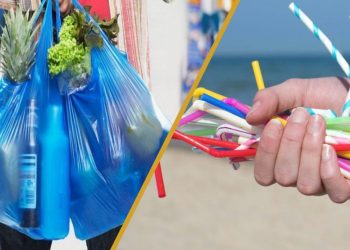 plasticos-de-un-solo-seran-prohibidos-por-la-union-europea-a-partir-del-2021